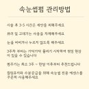 슈닝