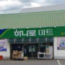 보개농협.가사동(보개하나로마트) | 하나로마트 보개농협본점 (경기 안성시 가사동 74-5)