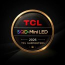 C.L | TCL TV 75C8L 설치 후기, 43인치에서 75인치 SQD-Mini LED로 바꿔보니