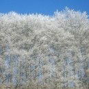 양양양양 펜션 이미지