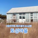 더마을핑크 | 청주소금빵맛집 토성마을 핑크뮬리 오두막이용후기
