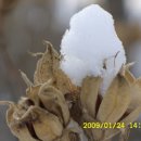 미르목장 이미지