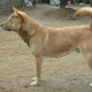 참진축산 이미지