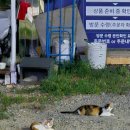 성광서점 이미지