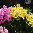 주원장한의원 이미지