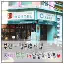 캘리호스텔 이미지