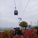 안산 제부도 가을야유회 제부도 서해랑 해상케이블카 탑승 트레킹 (2025-11/08 토요일) 이미지