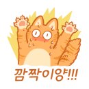 르페이버리