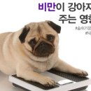 뉴타운동물병원 이미지
