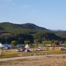 시청별관앞 꽃보라동산 이미지