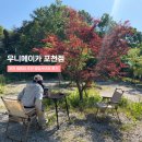 우니메이카 - 태안군 산간이길 158-24 | 포천 캠핑장 끝판왕! 포천 우니메이카 명당 사이트 내돈내산 후기