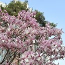 대학식당 분점 | 임신 확인 후 근황, 그리고 임신 8주차가 되기까지 일상 (시험관 후 자연임신, 성동구 임신 축하선물...
