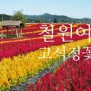 명신관광 이미지