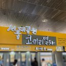 주차19 | 🦁 서울대공원 나들이 1탄｜19개월 아기랑 오픈런 후기! 코끼리열차·주차·입장료 꿀팁 총정리