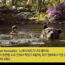 정글북 이미지