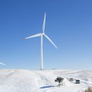 사계절목장 이미지