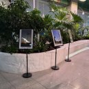 원더풀고강마을관리사회적협동조합 | 부천 시청 청사 고리울 사진전