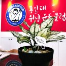 용인대 위닝 유도 클럽 이미지