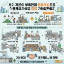 윤진행정사 이미지