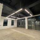 스타반려견 교육센터 이미지