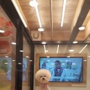 헤이독 - 김포시 김포한강8로148번길 8-20 | 헤이독
