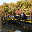 부천자연생태공원 이미지