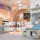 서울형키즈카페 동대문구 답십리1동점(답십리 래미안위브) 방문후기+무료주차가능! 예약링크, 이용시간...