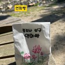 성보매점