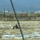 의정부연세이예쁜치과교정과치과의원 이미지