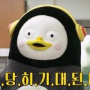 세일농장 이미지