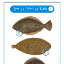 베스트웨스턴 제주호텔 이미지