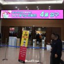 메가워시 | 2025 일산 가볼만한곳 일산킨텍스 메가쇼 먹거리,주류 정보 후기!!!