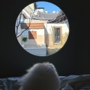 동림하녹東林夏綠 | 안동 @ 동림하녹에서 강아지 8살 생일파티 , 우리의 10주년 기념 다녀온 날 기록 ✎ꪑ
