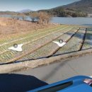 남해-241 이미지