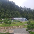 솔잎펜션 2 이미지