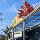 광성 | 속초홍게맛집추천 무한리필 제대로 즐긴 자연산 광성홍게장군 후기