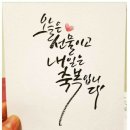 인셀덤블링블링뷰티