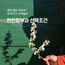 프로로재생의원 | 천안 장비 많은 피부과 추천, 왜 여기가 선택될까