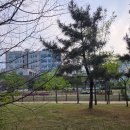스태들 | 통창뷰 스태들｜평택애견동반카페 감성 끝판왕 다녀온 후기