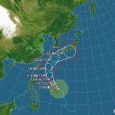 6호 태풍 장미 근황 이미지