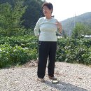 강촌이모네 이미지