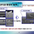 미소진 이미지
