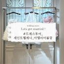 아멜리에 - 함양군 함양로 1173 | W · 04 드레스투어 - ① 세인트헬레나_아멜리에블랑 드레스 피팅 후기 (계약 X)
