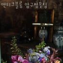 앤티크블룸압구정꽃집
