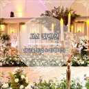 안산 웨딩홀 추천:: JM컨벤션 | 웨딩홀 투어 및 뷔페 시식 후기