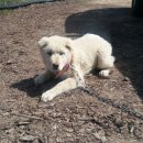 학우목장 이미지