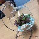 수원-0367 이미지