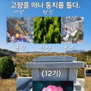 고향을 떠나 둥지 를 틀다! 이미지