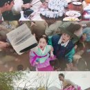섬남섬녀 뉴스엔