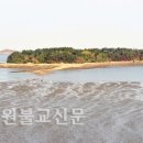 대산종사--9. 정전대의, 교리실천도해 구상하고 정산종사의 신도안 개척 말씀 받들어 실행하다 이미지